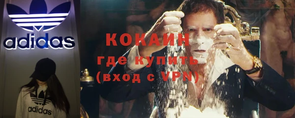 индика Лиски