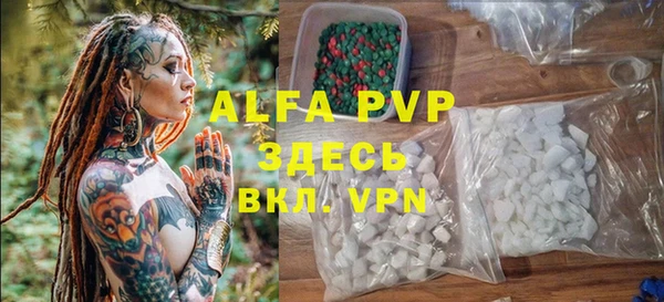 дживик Майский