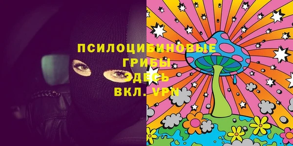 дживик Майский