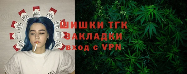 твердый Лагань