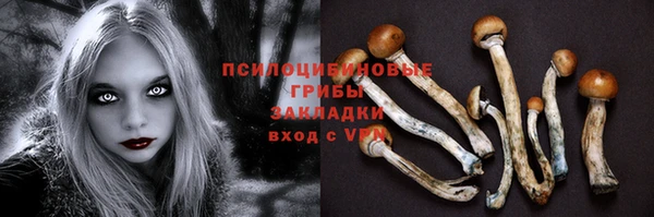 индика Лиски