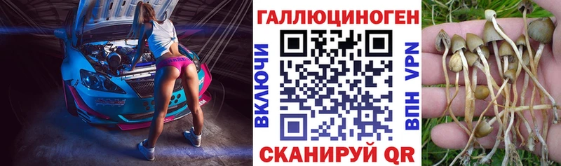 купить  цена  Лысково  Псилоцибиновые грибы Cubensis 